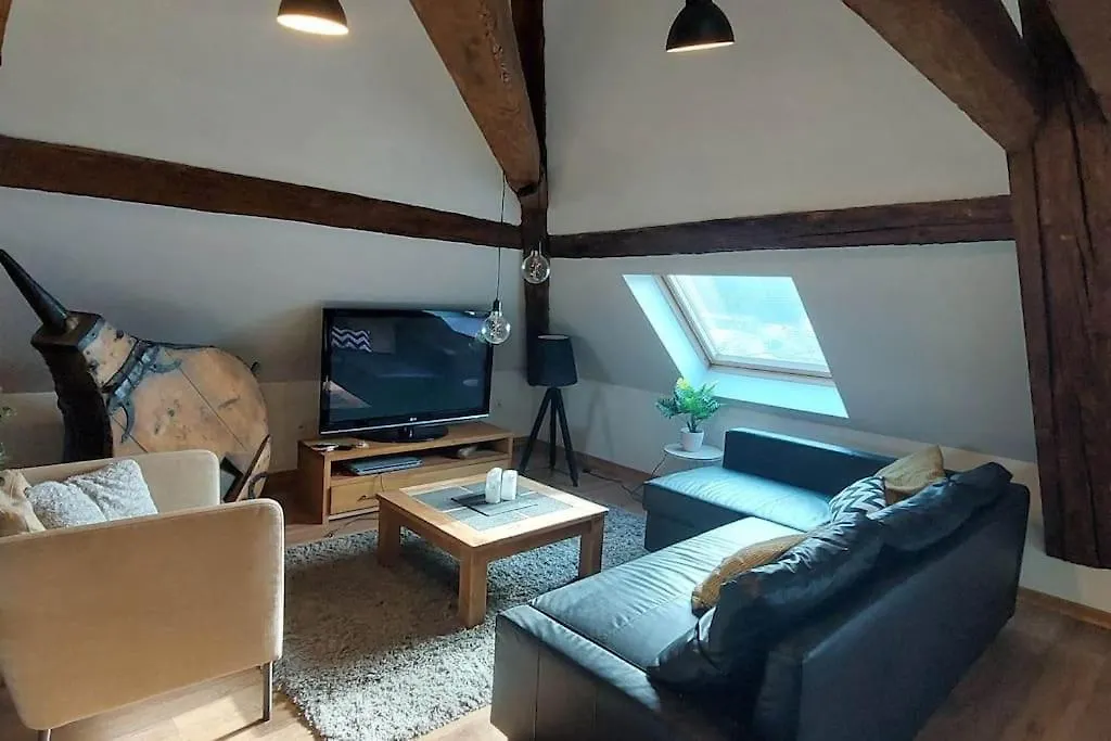 *New*Les Amandines Le Loft* Wifi Apartment Allevard